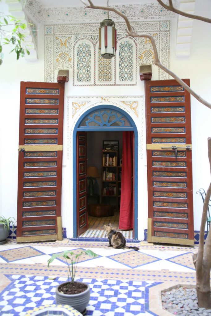pexels photo 36209546 36209546 Charming courtyard in Marrakech riad with traditional decor and cat.