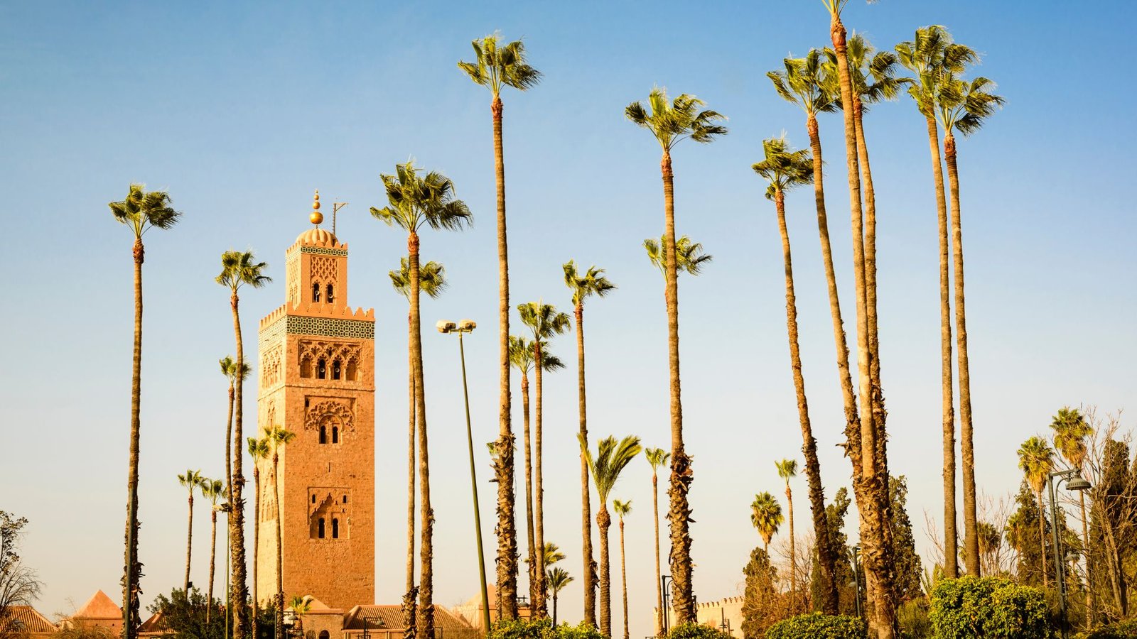 taux d'occupation riad marrakech